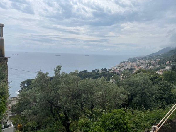 appartamento in affitto a Pieve Ligure