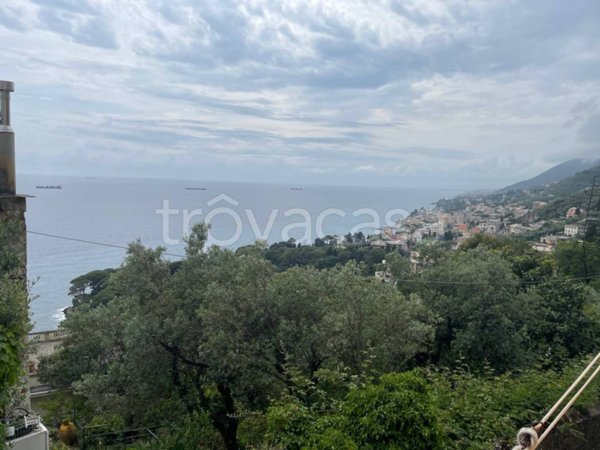 appartamento in affitto a Pieve Ligure