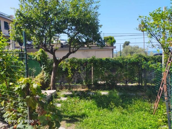 casa indipendente in affitto a Pieve Ligure