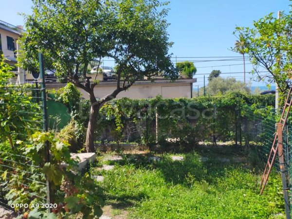 casa indipendente in affitto a Pieve Ligure