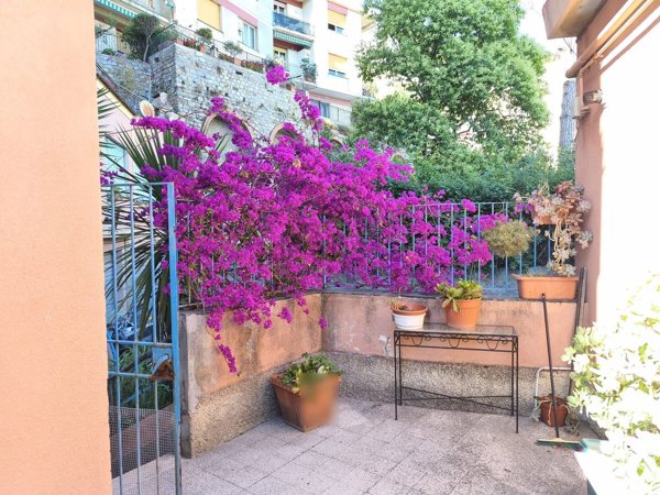 appartamento in affitto a Pieve Ligure