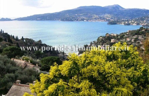 casa indipendente in affitto a Rapallo
