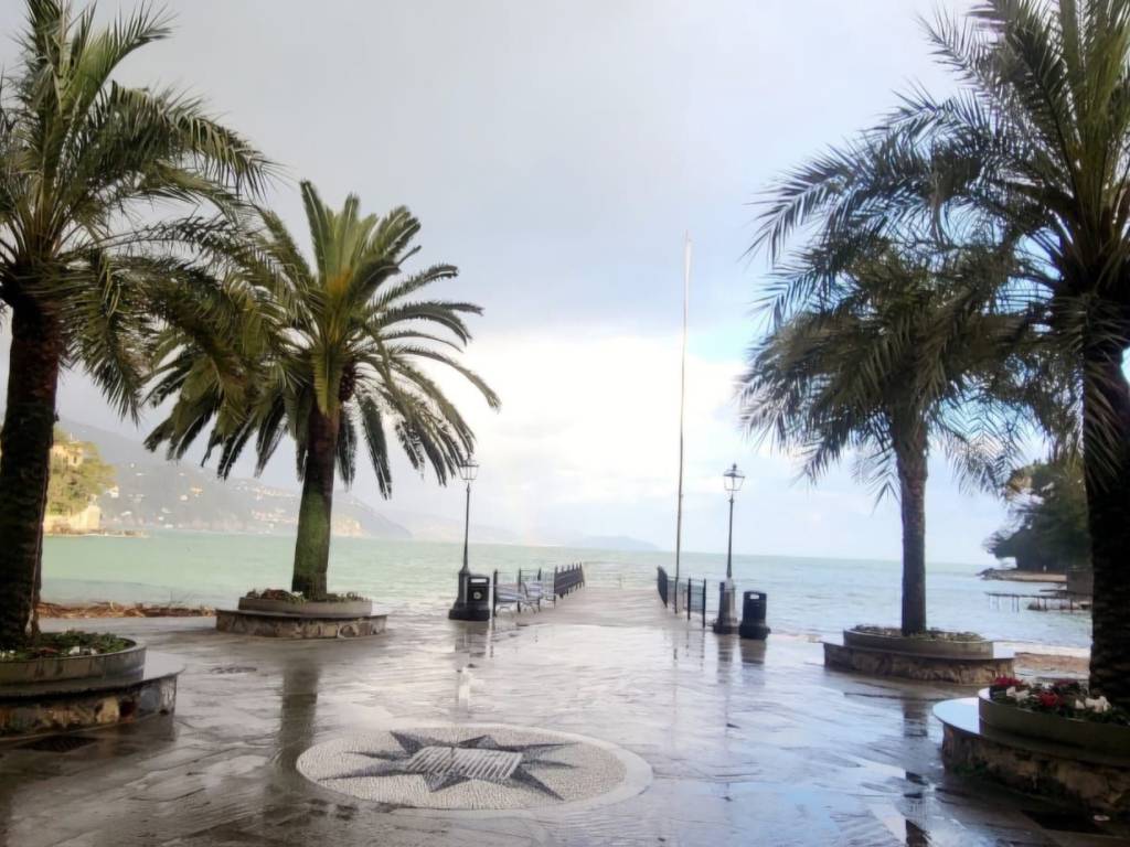 appartamento in affitto a Rapallo in zona San Michele di Pagana