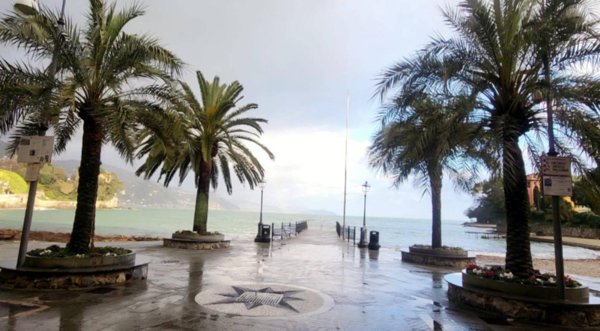 appartamento in affitto a Rapallo in zona San Michele di Pagana