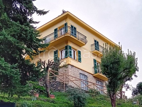 appartamento in affitto a Rapallo