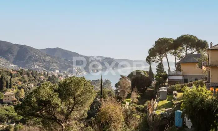 casa indipendente in affitto a Rapallo
