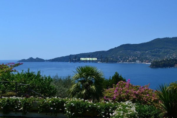 casa indipendente in affitto a Rapallo