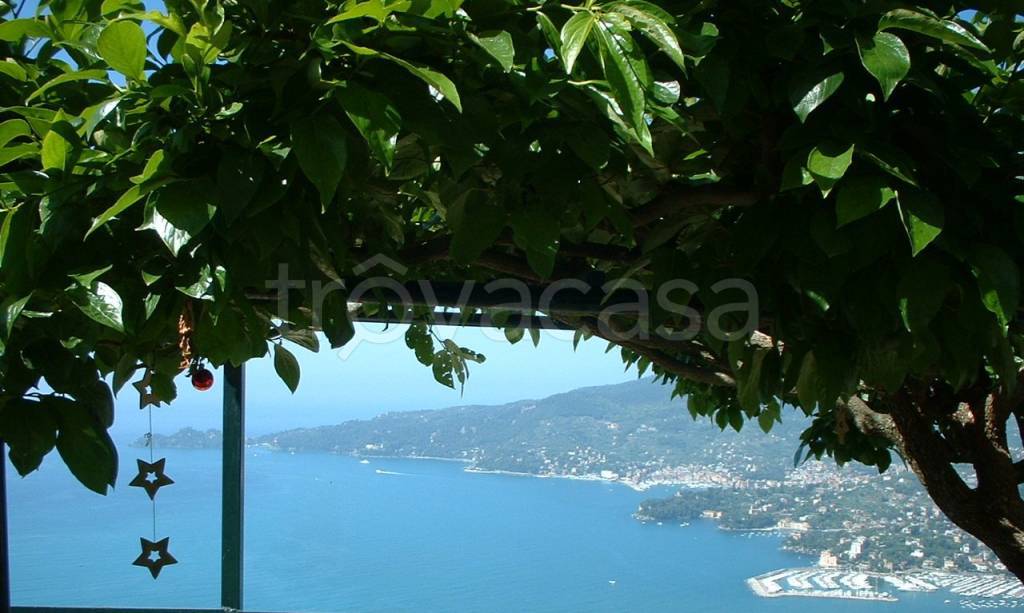appartamento in affitto a Rapallo