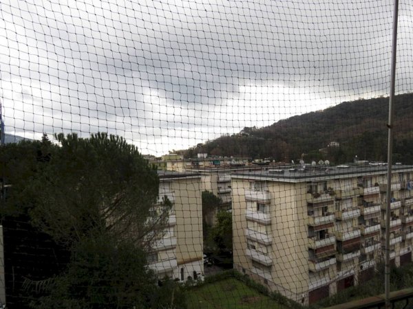 appartamento in affitto a Rapallo