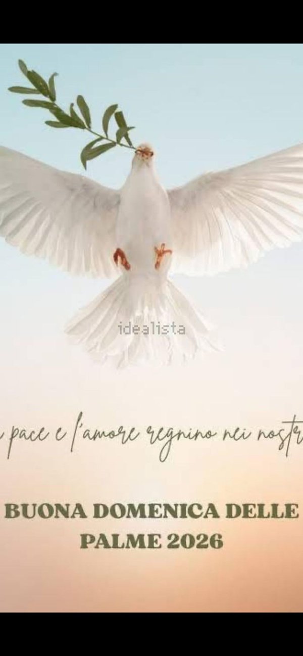 appartamento in affitto a Rapallo