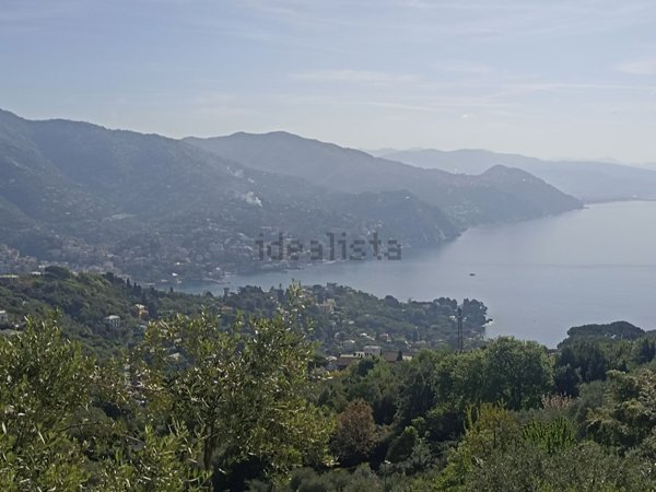 casa indipendente in affitto a Rapallo