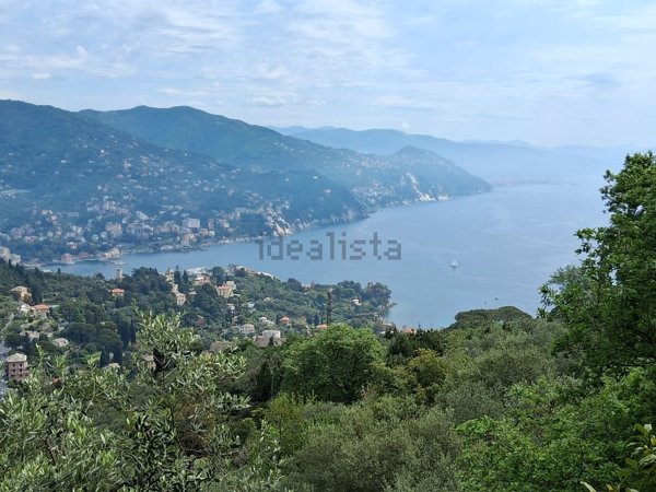 casa indipendente in affitto a Rapallo
