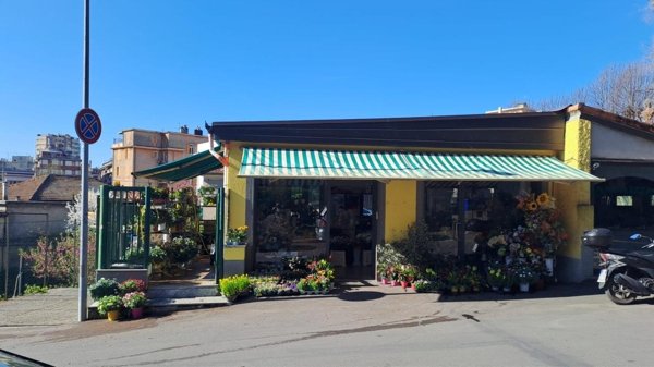 appartamento in affitto a Rapallo