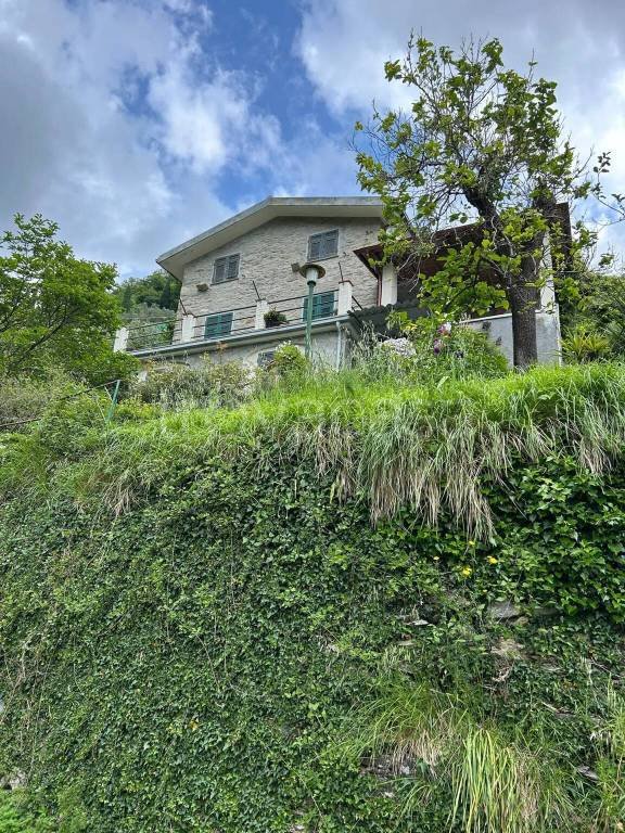 casa indipendente in affitto a Rapallo in zona Montepegli