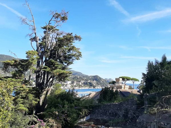 appartamento in affitto a Rapallo in zona San Michele di Pagana