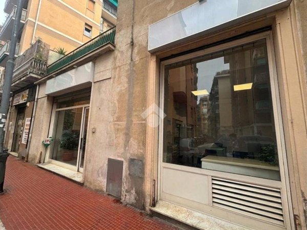 trivano in affitto a Rapallo