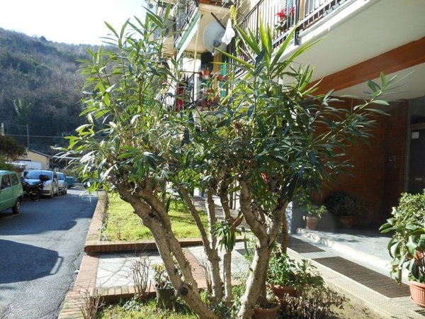 appartamento in affitto a Recco