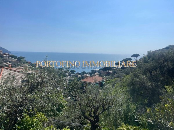 appartamento in affitto a Recco in zona Megli