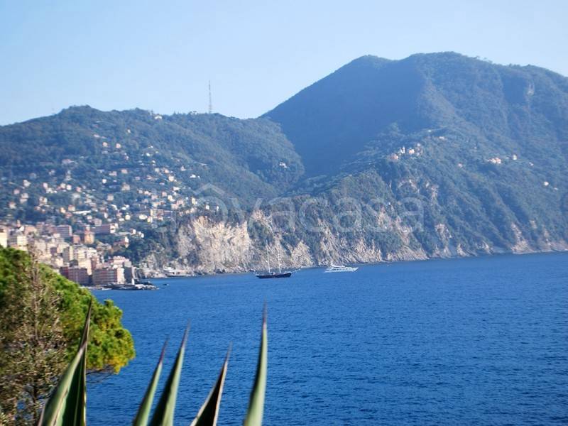 appartamento in affitto a Recco