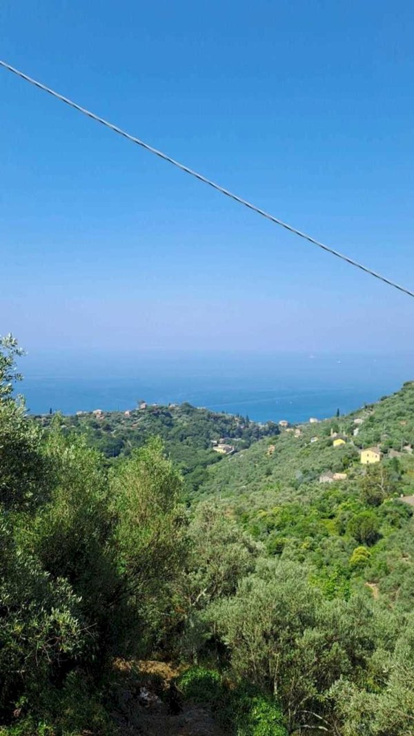 terreno agricolo in affitto a Recco