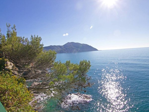 appartamento in affitto a Recco in zona Polanesi