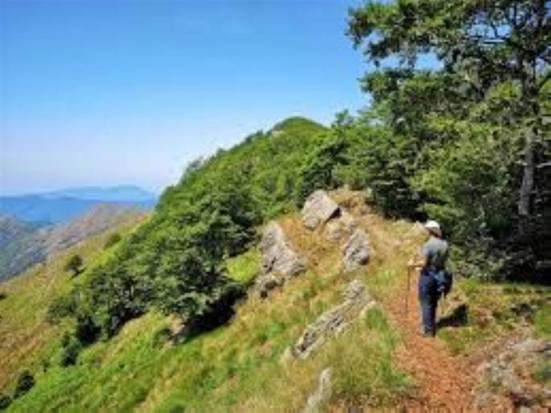 ufficio in affitto a San Colombano Certenoli