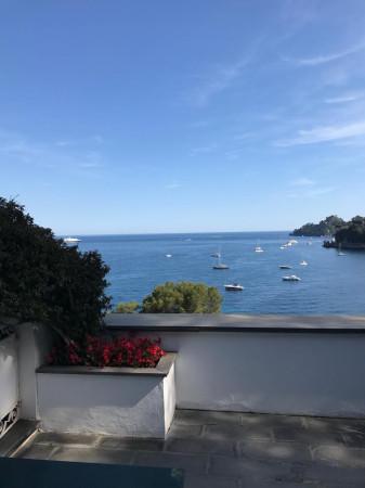 appartamento in affitto a Santa Margherita Ligure in zona Paraggi