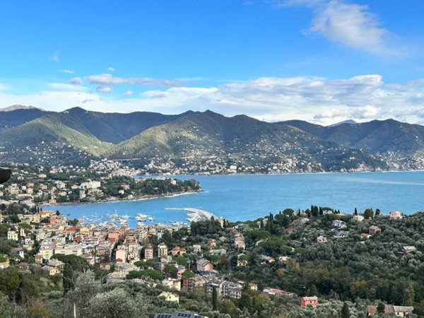 appartamento in affitto a Santa Margherita Ligure in zona Nozarego