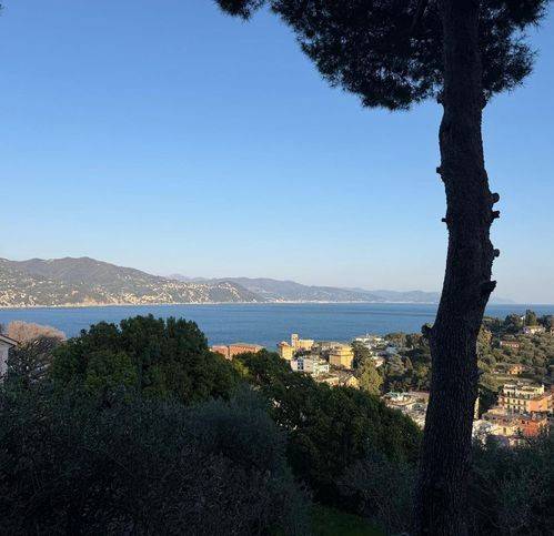 casa indipendente in affitto a Santa Margherita Ligure in zona Nozarego