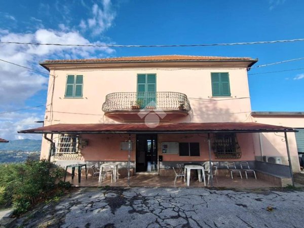 negozio in affitto a Serra Riccò in zona Serra