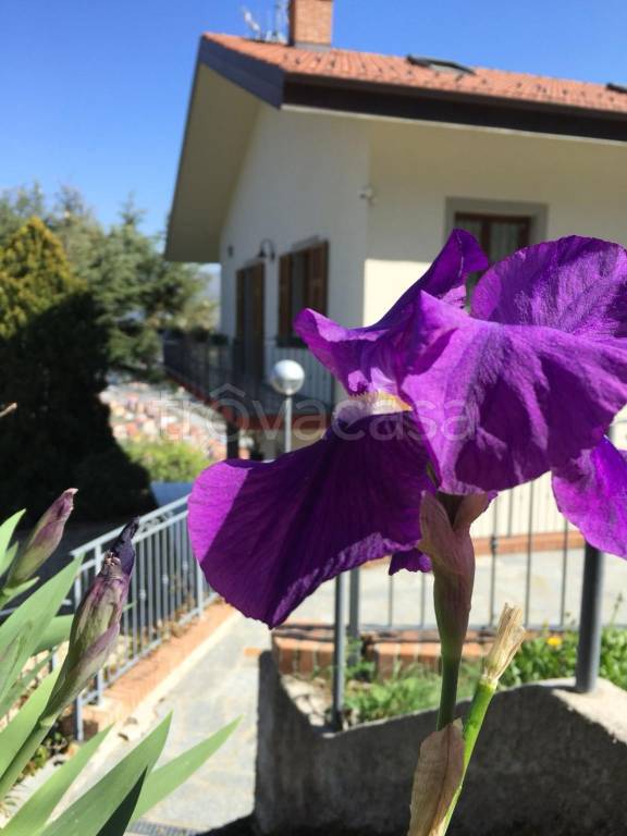 appartamento in affitto a Serra Riccò in zona Pedemonte