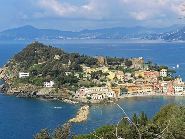 negozio in affitto a Sestri Levante
