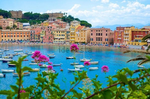 appartamento in affitto a Sestri Levante