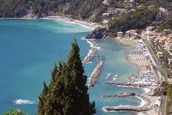 negozio in affitto a Sestri Levante