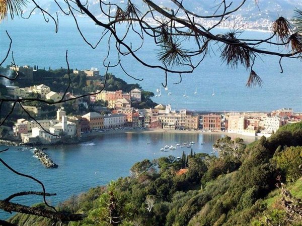 ufficio in affitto a Sestri Levante