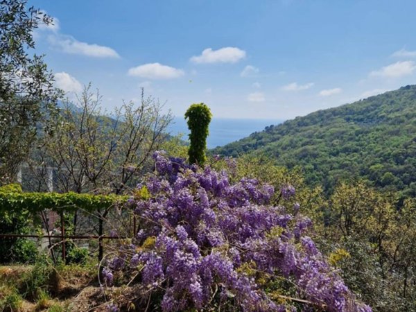 appartamento in affitto a Sori