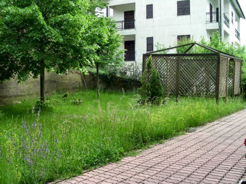appartamento in affitto a Tiglieto
