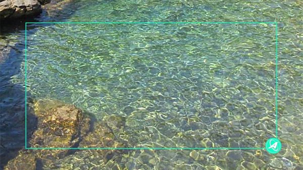 negozio in affitto a Zoagli