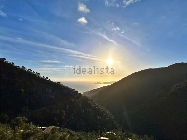 appartamento in affitto a Zoagli in zona Semorile