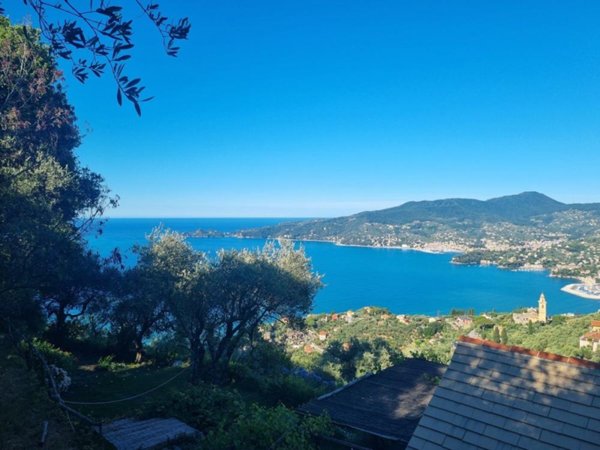 appartamento in affitto a Zoagli in zona Sant'Ambrogio