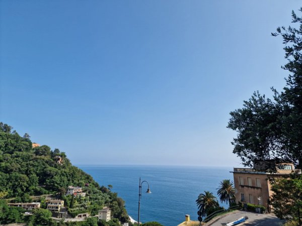 appartamento in affitto a Zoagli in zona Sant'Ambrogio