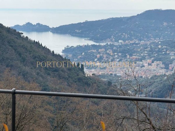 appartamento in affitto a Zoagli