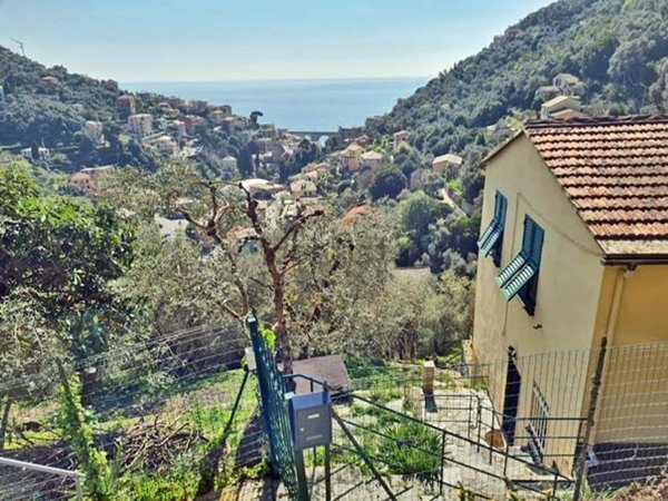 appartamento in affitto a Zoagli