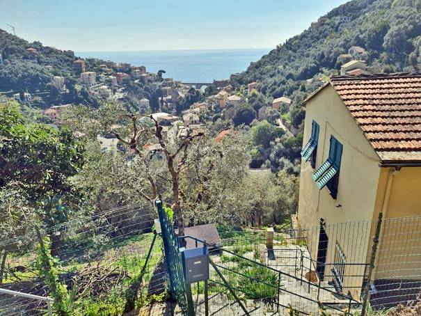 appartamento in affitto a Zoagli