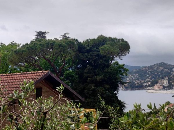 appartamento in affitto a Zoagli