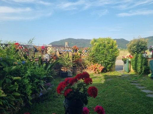 appartamento in affitto ad Ameglia