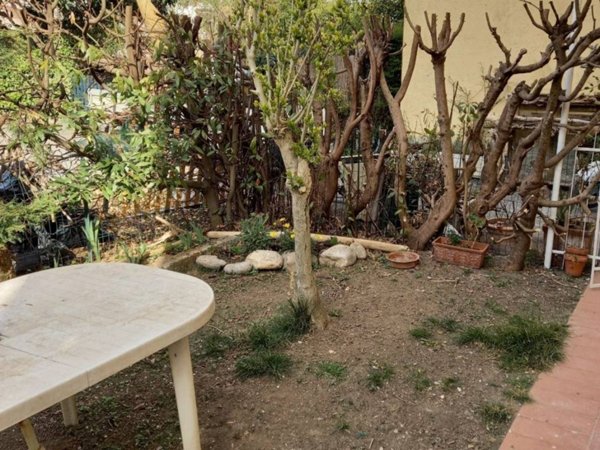 appartamento in affitto ad Ameglia in zona Bocca di Magra