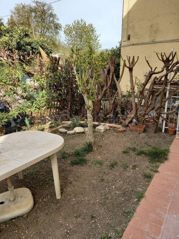 appartamento in affitto ad Ameglia in zona Bocca di Magra