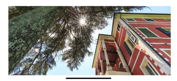 appartamento in affitto a Beverino