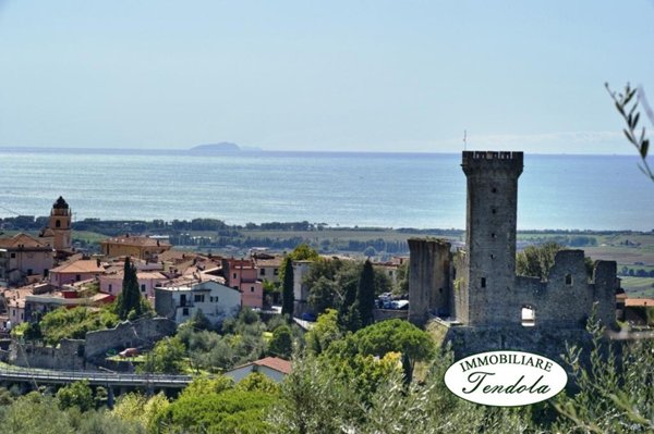 appartamento in affitto a Castelnuovo Magra in zona Molicciara